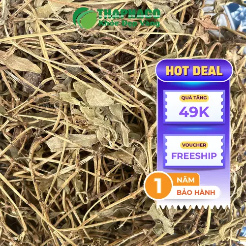 Sài Đất khô THAPHACO được đóng gói cẩn thận, giữ trọn hương vị