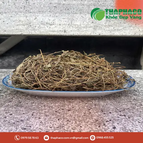 Sài đất khô thành phẩm của THAPHACO
