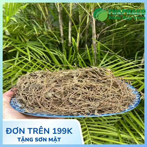 Sài đất sấy khô đóng gói cẩn thận sẵn sàng đến tay khách hàng