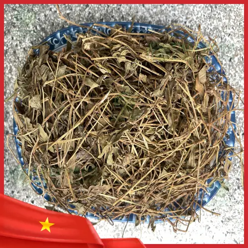 Nghiên cứu về Sài đất và gan