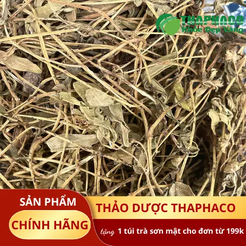 Quy trình sấy sài đất công nghệ cao của THAPHACO