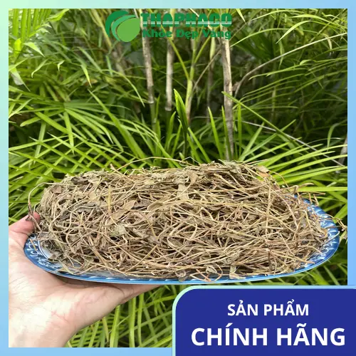 Sản phẩm sài đất khô THAPHACO đóng gói cẩn thận