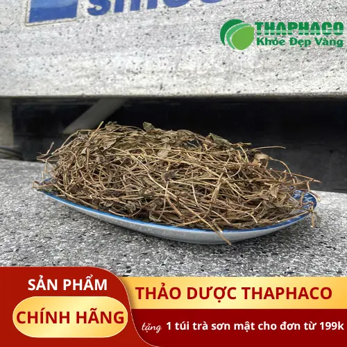 Quá trình kiểm tra và đóng gói Sài Đất sấy khô tại THAPHACO