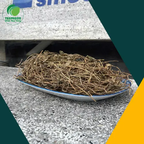 Sài Đất khô THAPHACO sẵn sàng giao hàng nhanh chóng tại TP.HCM