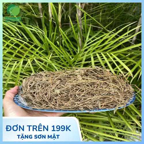 Sản phẩm Sài Đất sấy khô chất lượng cao từ THAPHACO đã đóng gói