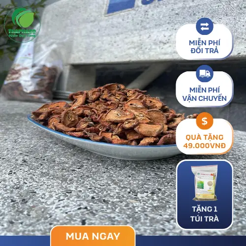 Rượu táo mèo truyền thống có tác dụng hỗ trợ tiêu hóa và giảm mỡ máu