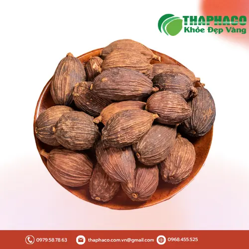 Thảo quả sấy khô chất lượng cao từ Trà Hoa Sấy Khô THAPHACO