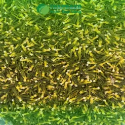 Tim Sen Sấy Khô tại TP.HCM: Giải Pháp Ngủ Ngon & Sức Khỏe Vàng