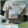 Địa chỉ bán cây xấu hổ khô tại TP.HCM | Trà Hoa Sấy Khô THAPHACO