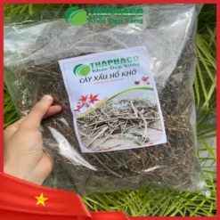 Mua cây xấu hổ khô ở đâu uy tín? THAPHACO uy tín