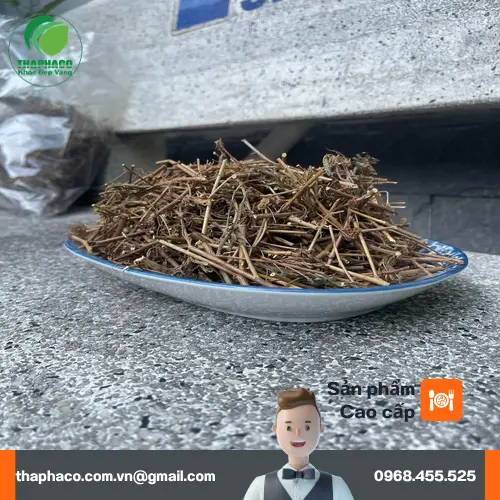 Trà cây xấu hổ đã được sấy khô để pha chế