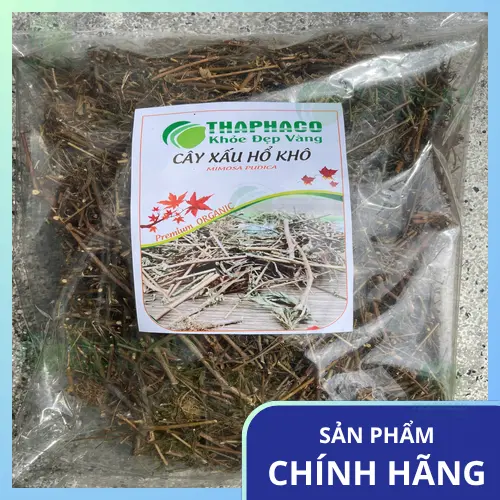 Chi tiết cây xấu hổ khô THAPHACO