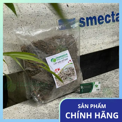 Rễ cây xấu hổ đã được sơ chế và sấy khô