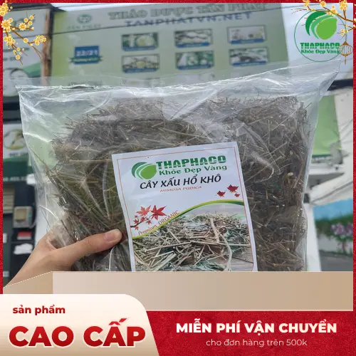 Lá cây xấu hổ cụp lại khi chạm vào