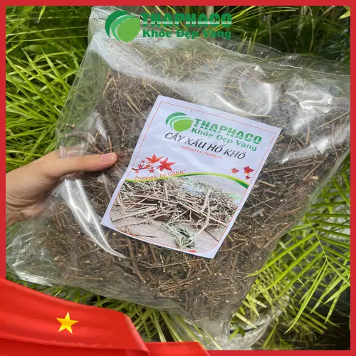 Hướng dẫn pha trà cây xấu hổ khô