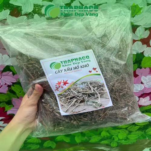 Sản phẩm cây xấu hổ sấy khô đã được đóng gói cẩn thận