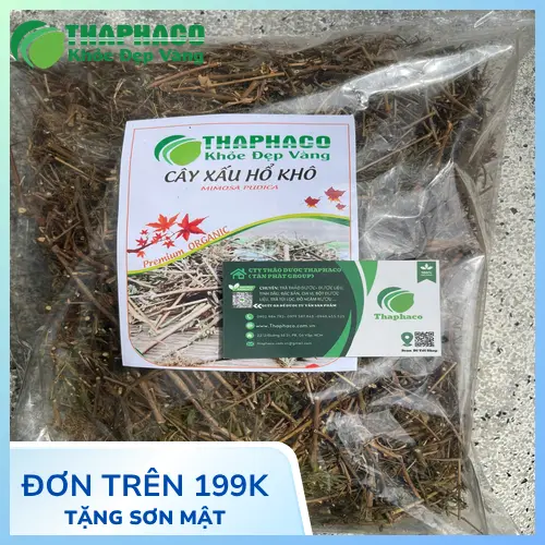 Sản phẩm cây xấu hổ khô của THAPHACO đóng gói chuyên nghiệp
