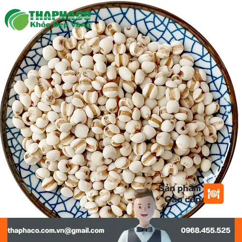 Hình ảnh ý dĩ khô nguyên hạt, tươi mới tại THAPHACO.