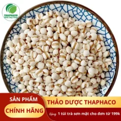 Nên Mua Ý Dĩ Chất Lượng Ở Đâu? Bí Quyết Chọn Từ THAPHACO