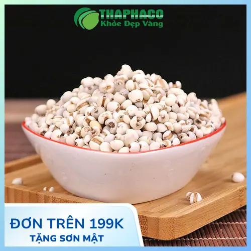 Ý dĩ khô nguyên hạt chất lượng cao tại Trà Hoa Sấy Khô THAPHACO