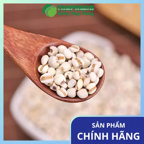 Quy trình đóng gói ý dĩ THAPHACO đảm bảo vệ sinh