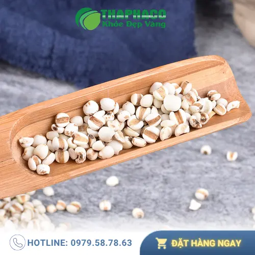 Hạt ý dĩ và những dưỡng chất cần thiết