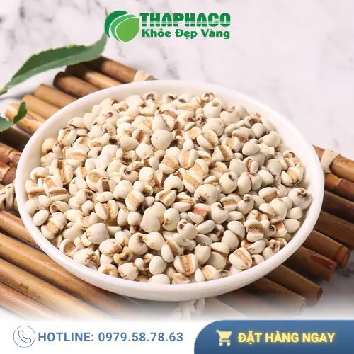 Ý dĩ là nguyên liệu tuyệt vời để chế biến món ăn và trà bổ dưỡng