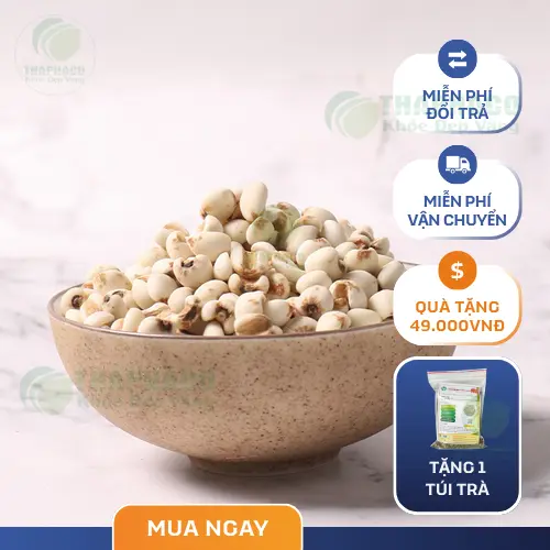 Quy trình kiểm định chất lượng ý dĩ THAPHACO