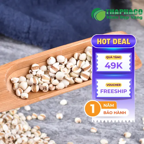 Chất lượng ý dĩ THAPHACO được kiểm soát chặt chẽ