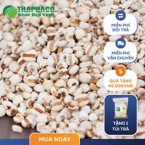 Ý dĩ THAPHACO – sự lựa chọn hàng đầu cho sức khỏe gia đình bạn