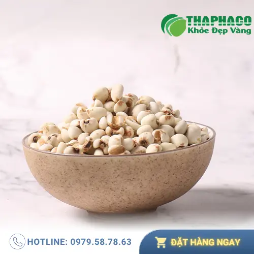 Các món ăn bổ dưỡng được chế biến từ ý dĩ khô