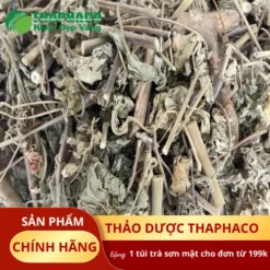 Cây Cối Xay Sấy Khô THAPHACO: Địa Chỉ Uy Tín Tại TP.HCM