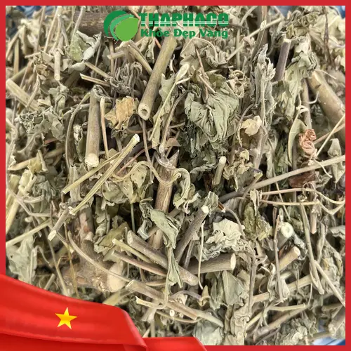 Cách pha trà cây cối xay đúng chuẩn tại nhà