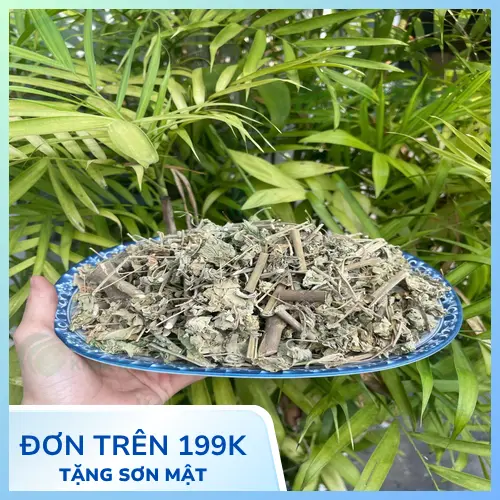 Cách bảo quản cây cối xay sấy khô hiệu quả tại nhà