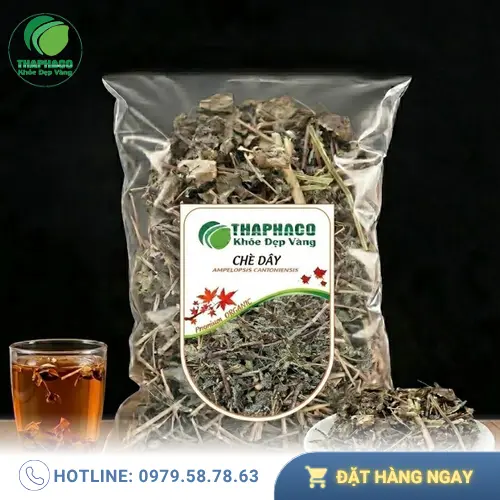 Quy trình sản xuất chè dây sấy khô tại THAPHACO