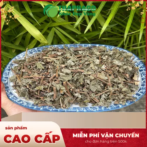 chè dây bị ẩm mốc có uống được không