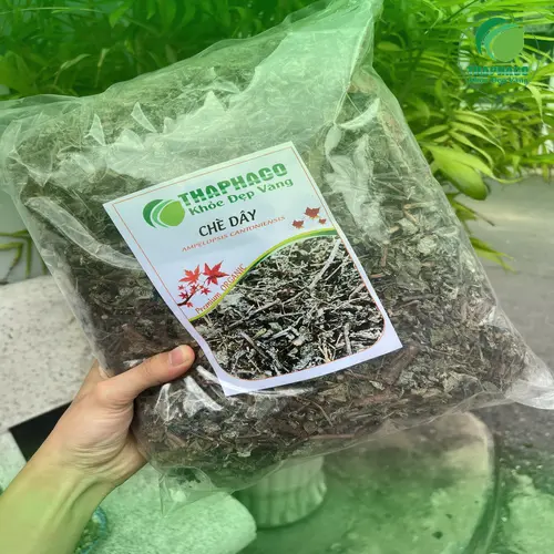 Chè Dây THAPHACO hỗ trợ tiêu hóa