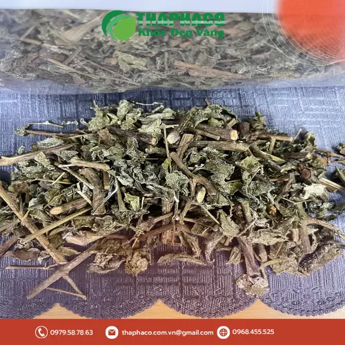 Quy trình phơi sấy chè dây tại THAPHACO