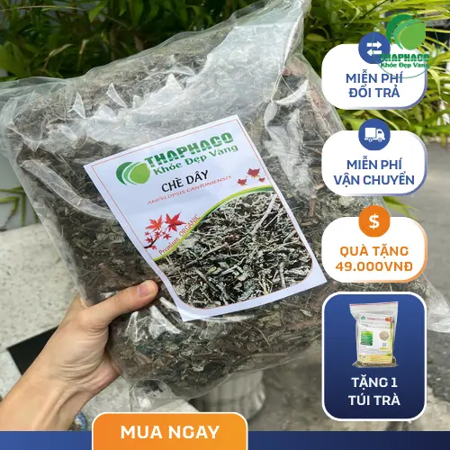 Màu sắc và hình dáng chè dây loại 1 chất lượng