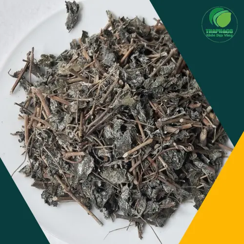 Các công dụng hỗ trợ sức khỏe của chè dây