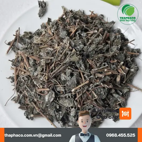 Cơ chế hỗ trợ của chè dây đối với dạ dày
