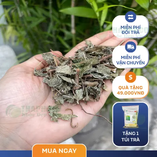 Lưu ý khi chọn mua và sử dụng chè dây