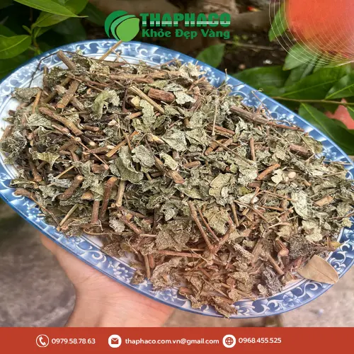 Hướng dẫn sử dụng và bảo quản chè dây hiệu quả