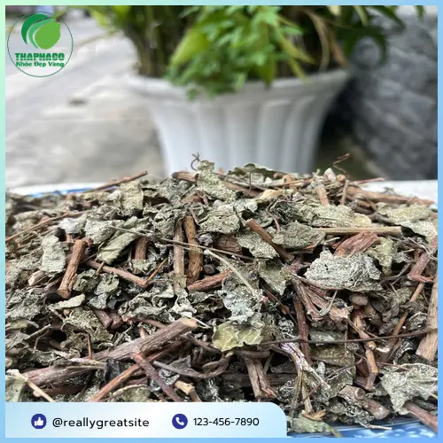 Sản phẩm chè dây sấy khô chất lượng từ THAPHACO