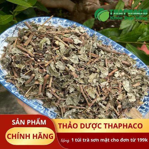 Chọn chè dây khô chất lượng tại THAPHACO