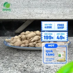 Địa chỉ bán sỉ củ tam thất nam tận gốc tại TP.HCM
