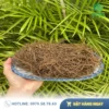 Dây Tơ Hồng THAPHACO: Sỉ Chất Lượng Cao Tại TP.HCM