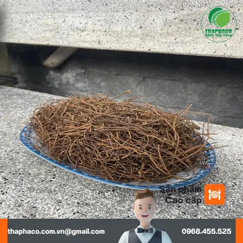 Dây tơ hồng khô chất lượng cao từ THAPHACO