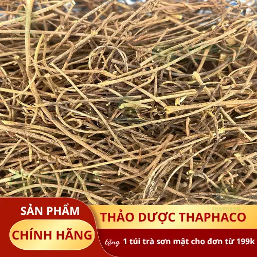 Dây tơ hồng sấy khô chất lượng cao từ THAPHACO, đảm bảo nguồn gốc sạch