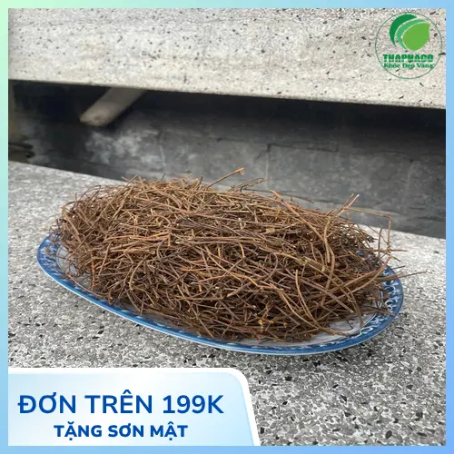 Cách pha trà dây tơ hồng hiệu quả